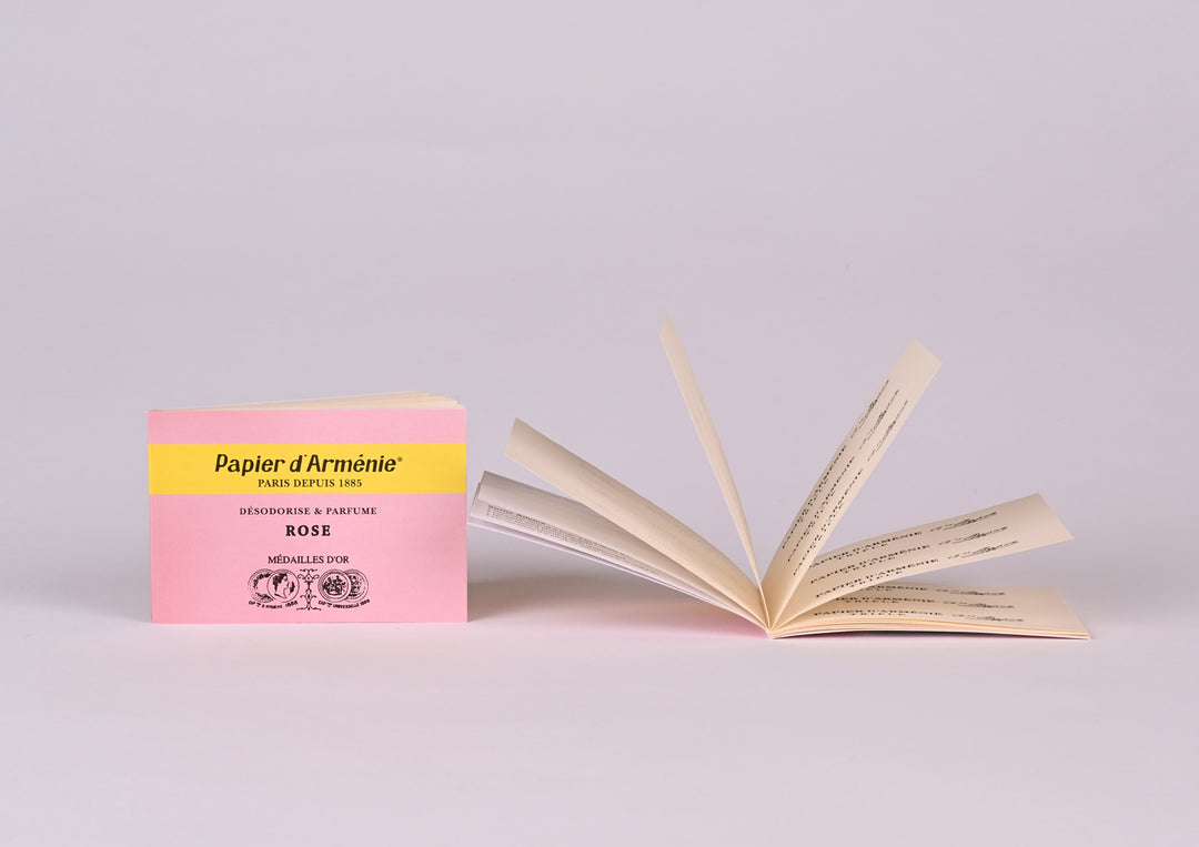 Cutie Vintage cu 6 carnete - ROSE