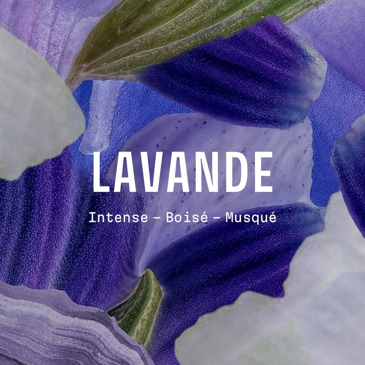 Ulei de masaj relaxant – Lavandă Iconică 100 ml